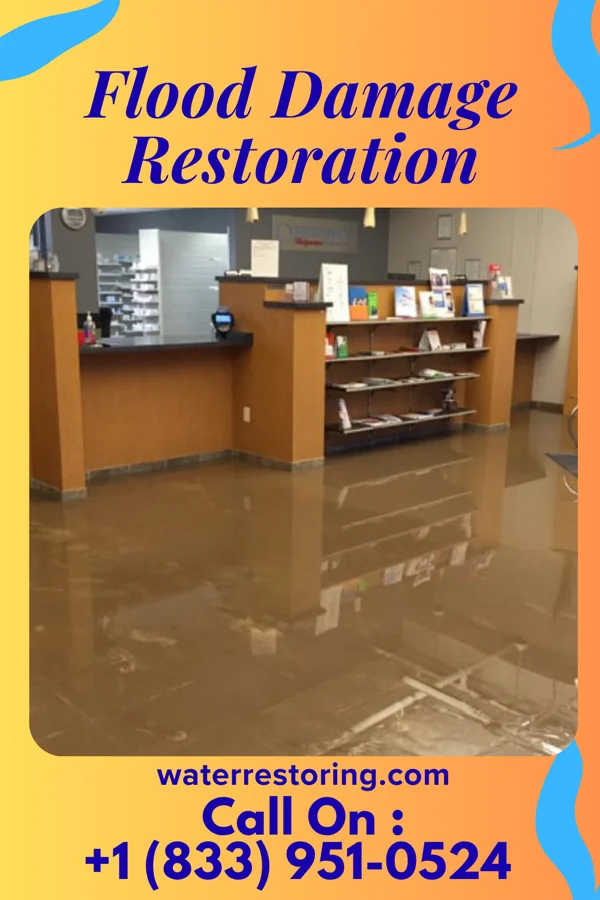 Flood Damage Restoration in Dora, AL