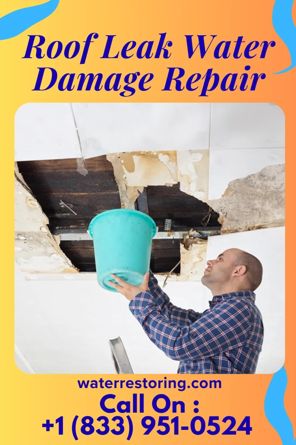 Roof Leak Water Damage Repair in Dora, AL