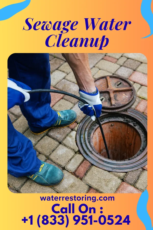 Sewage Water Cleanup in Dora, AL